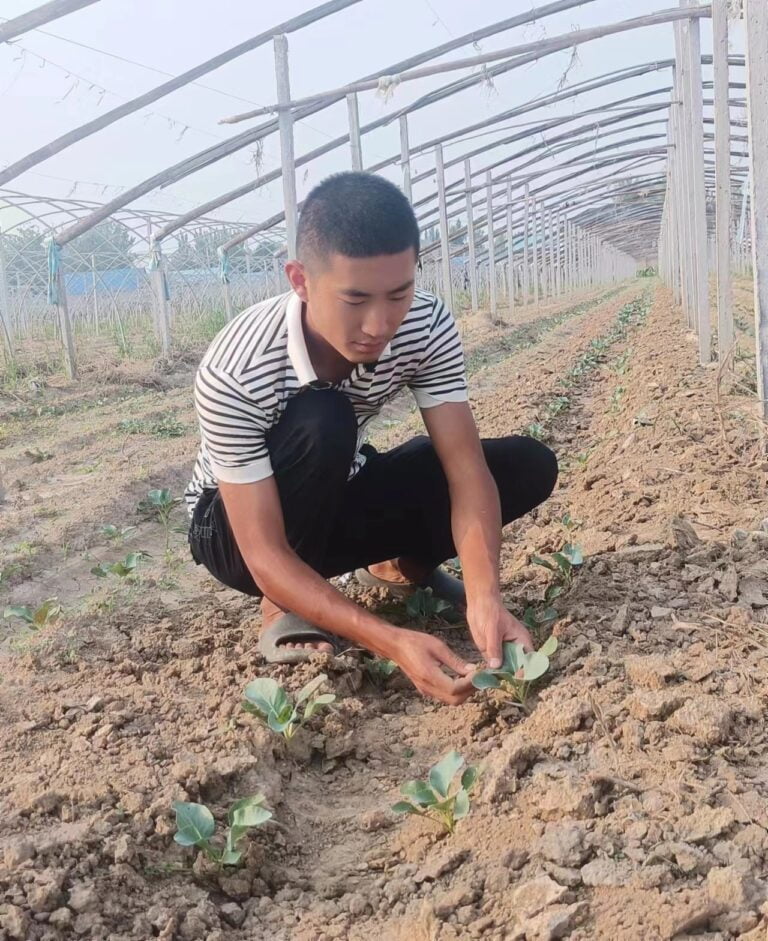 Cultivo em Estufa da Nova Geração