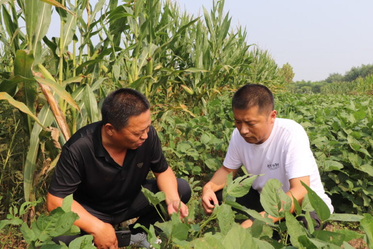 Levando tecnologia agrícola às áreas rurais