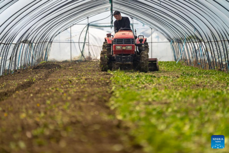 China define metas para modernização rural em 2024