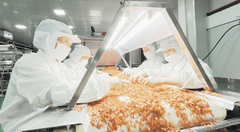 Processamento de Vegetais Desidratados em Alta Atividade