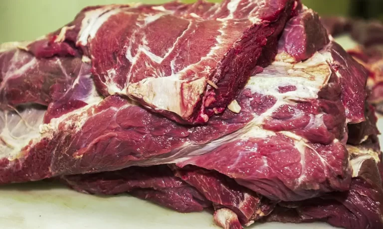 Aumento da demanda chinesa impulsionará exportações brasileiras de carne em 2024, aponta estudo