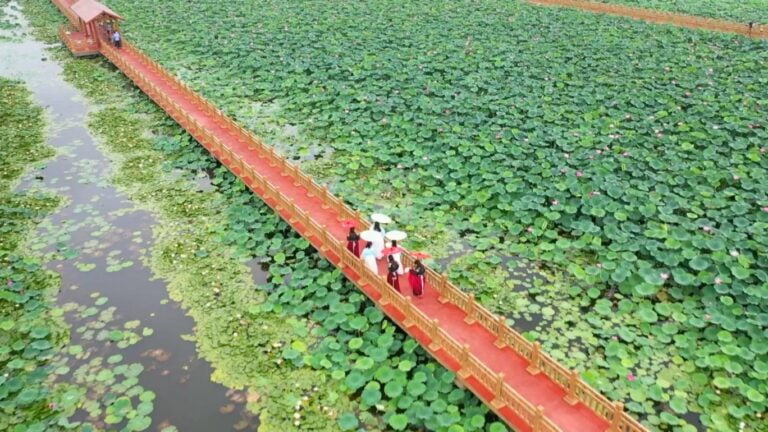 Uma Nova Canção para Promover a Revitalização Rural por meio da Indústria Ecológica na Velha Estrada