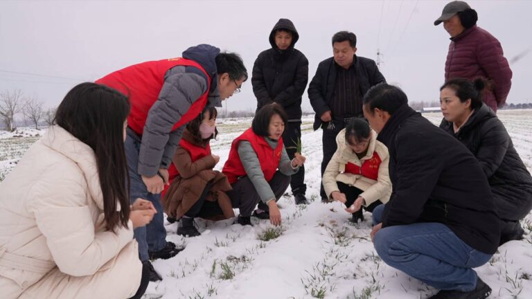 Especialistas em técnicas agrícolas oferecem dicas valiosas após a neve
