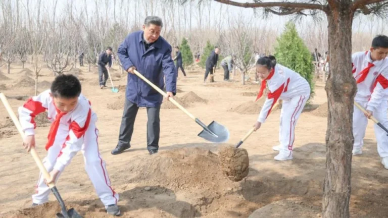 Xi Jinping participa de tradicional plantio de árvores com a comunidade