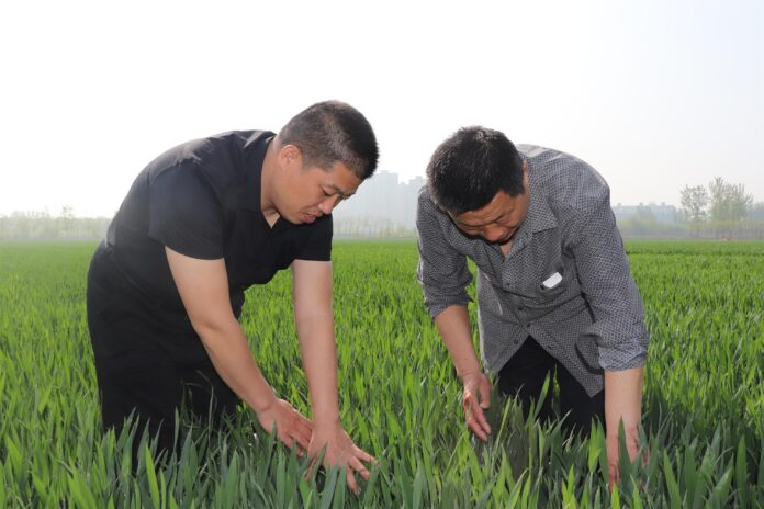 田间地头-把脉问诊