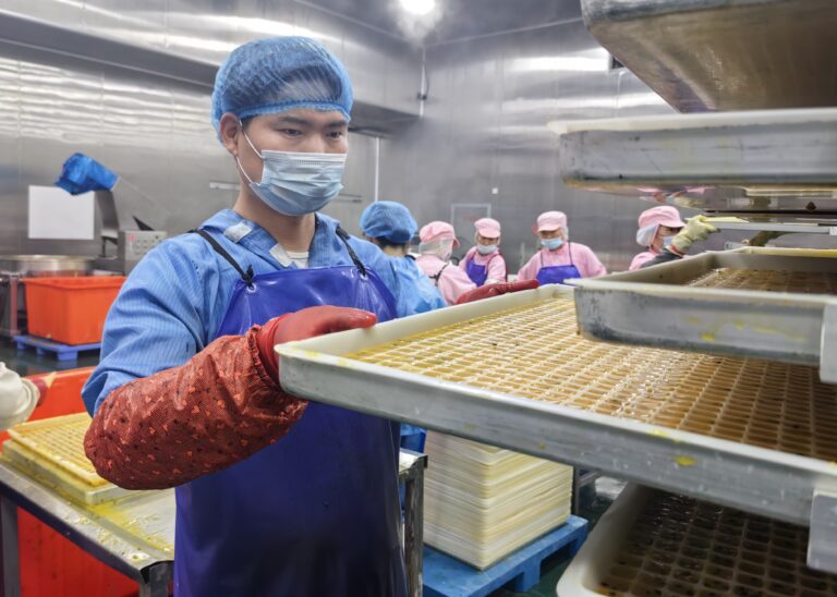 Expandindo a Cadeia Produtiva para Impulsionar a Revitalização Rural 