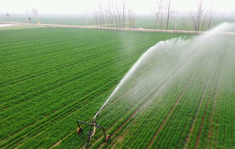 Deixe a “Agricultura Inteligente” Substituir a “Agricultura Tradicional”