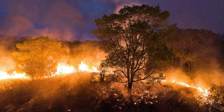 Brasil avança no controle do fogo na região do Pantanal