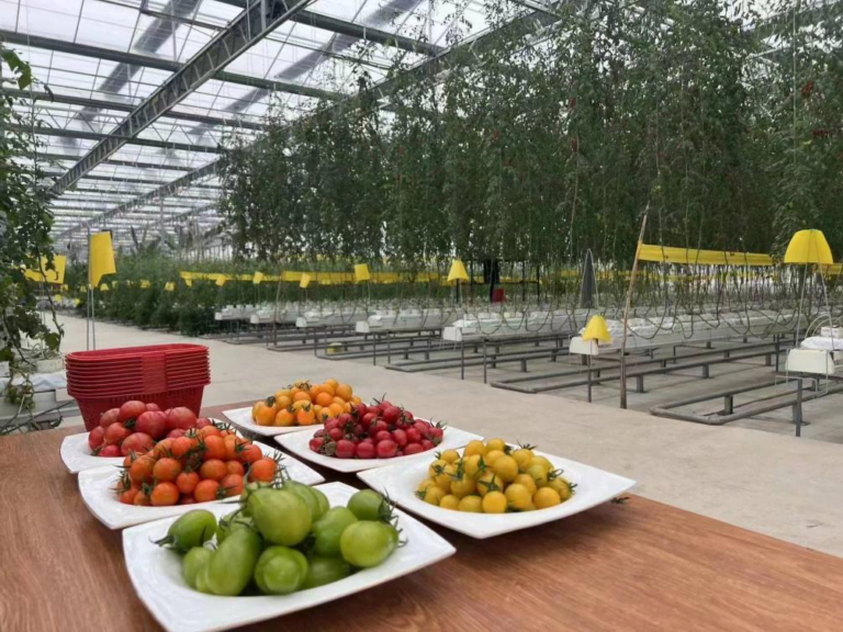 Agricultura moderna equipada com “chips tecnológicos” adiciona novos motores à revitalização rural