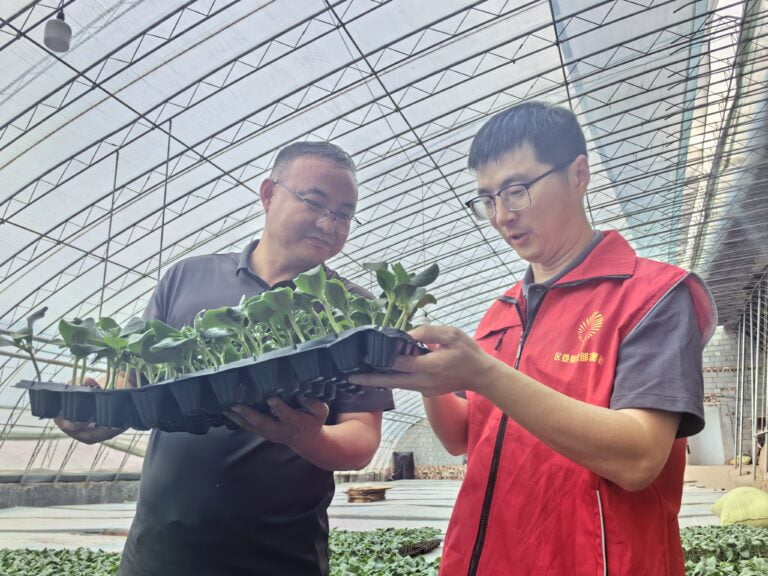 Tecnologia no Campo Impulsiona o Desenvolvimento Agrícola