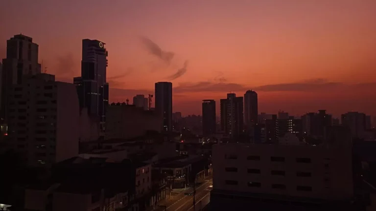 O Brasil em Chamas: Como as Queimadas estão Devastando São Paulo e o País O Brasil em Chamas: Como as Queimadas estão Devastando São Paulo e o País