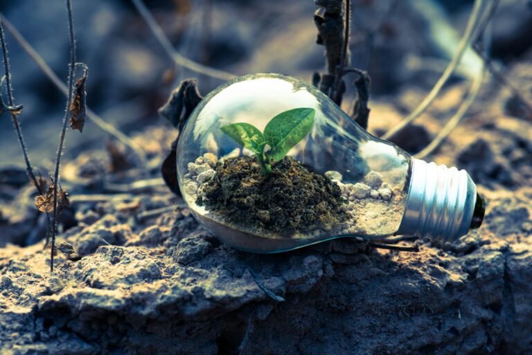 Créditos de carbono: Pará sai na frente e é o primeiro estado do Brasil a assinar acordo com a Coalizão LEAF; negociação é de US$ 180 milhões