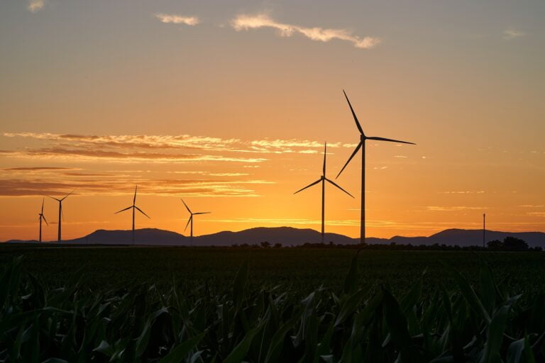 China e África unem esforços para acelerar transição para energia verde