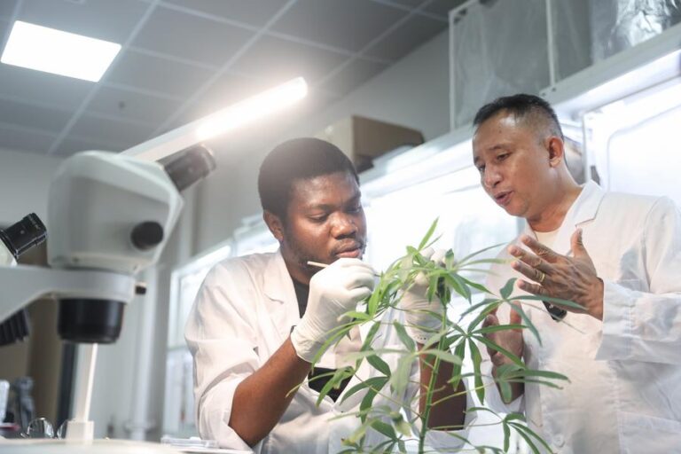 Projeto de intercâmbio para capacitar jovens pesquisadores globais é iniciado na China