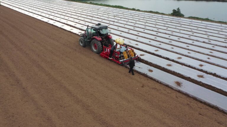 Promovendo o cultivo de produtos locais e injetando nova vitalidade na revitalização rural