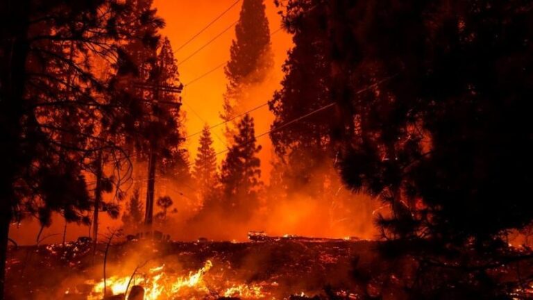 Incêndio devastador em Los Angeles força evacuação de 393 mil pessoas