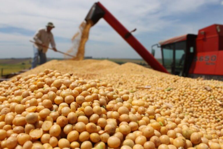 Empresas chinesas avaliam novos investimentos no setor do agronegócio do Brasil