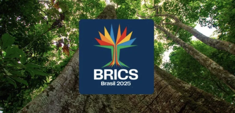 Brasil lança portal do BRICS 2025