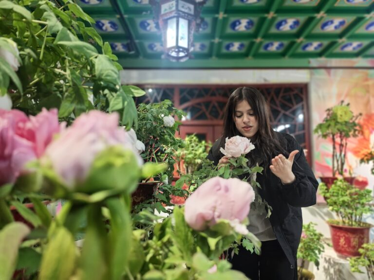 Passeando na Feira do Templo e Apreciando Lanternas – Estudantes Estrangeiros Celebram com Alegria o Festival das Lanternas