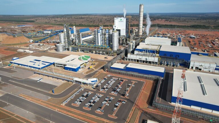 CEO da Suzano revela estratégia para aumentar investimento no mercado chinês