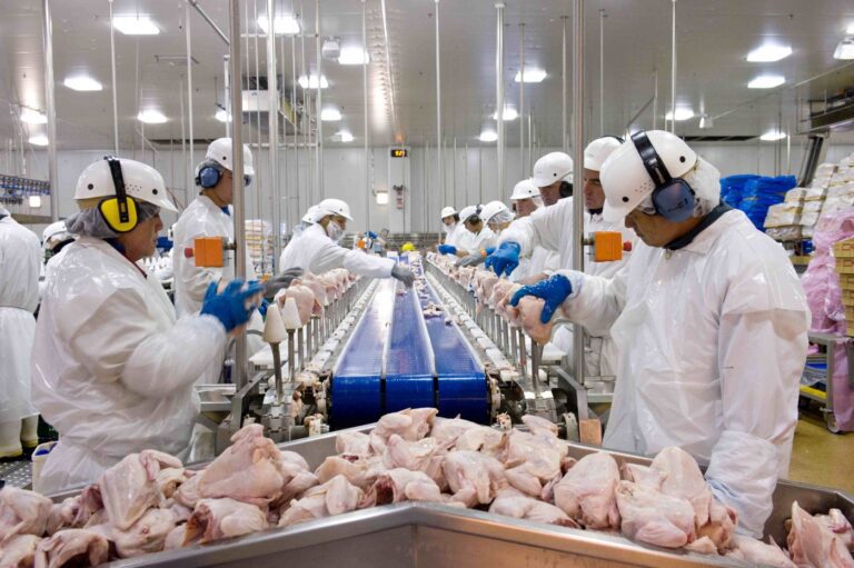 Exportações de carne de frango do Brasil para China crescem 18,1% em fevereiro