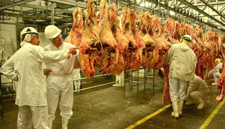 China suspende importação de carne bovina de três frigoríficos brasileiros, acendendo alerta para setor exportador