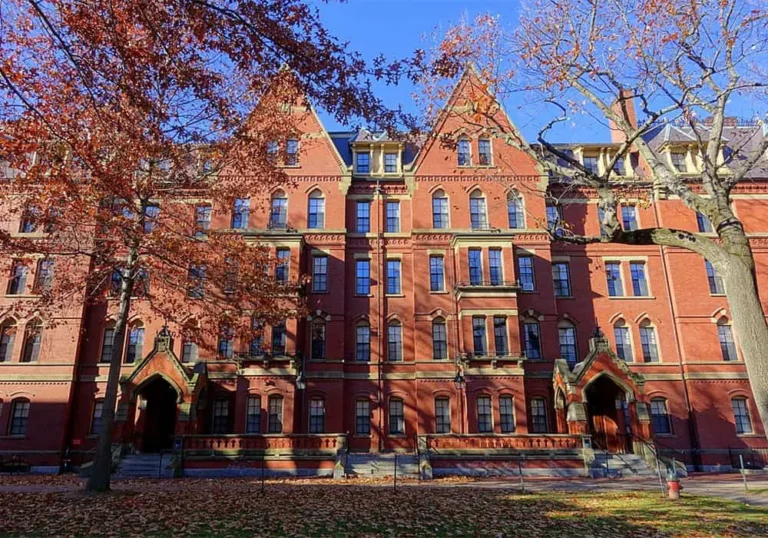 Trump intensifica ofensiva contra Harvard: “é uma piada, ensina ódio e estupidez”
