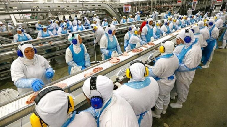China reduz importações de carnes e fibra de algodão dos EUA