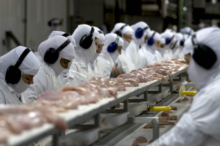 Brasil negocia com China para limitar embargo ao frango após caso de gripe aviária no RS