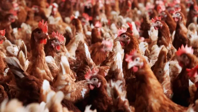 (Foto: Reprodução / Joern Pollex / Getty Images / VEJA)