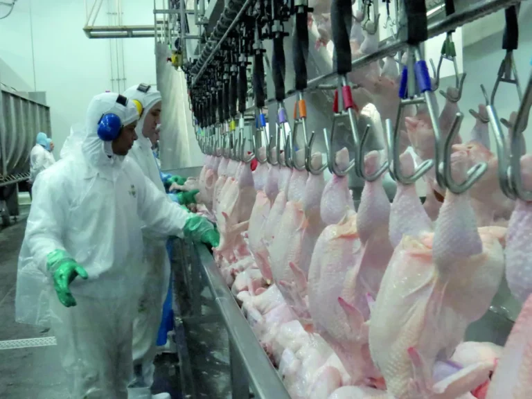 Brasil avança na retomada de exportações de frango e aguarda flexibilização da China