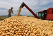 China interrompe importações de soja dos EUA pela primeira vez em sete anos