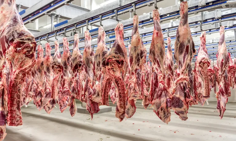 Carne bovina brasileira bate recorde histórico de exportações em julho com China na liderança