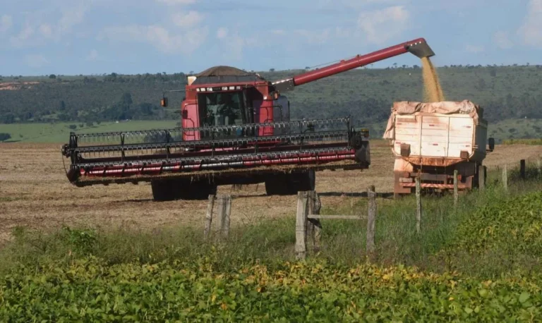 Brasil–China: parceria agrícola cresce com tecnologia e novos mercados