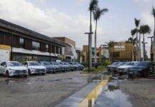 BYD consolida Brasil como eixo estratégico de sua cadeia global verde