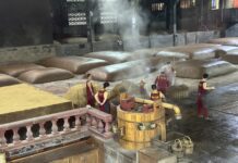 Visita às “Celas de Fermentação 1573 – Tesouro Nacional” em Luzhou, Sichuan: mais de 450 anos de produção contínua