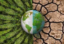 Bancos multilaterais anunciam plano para ampliar investimentos ambientais até 2030