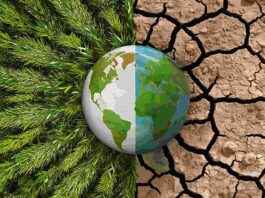 Bancos multilaterais anunciam plano para ampliar investimentos ambientais até 2030