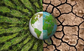 Bancos multilaterais anunciam plano para ampliar investimentos ambientais até 2030