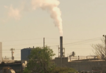 China e União Europeia aderem ao plano do Brasil para padronizar o mercado global de carbono