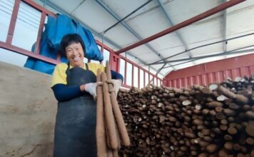 Cem Armazéns Frigoríficos Alavancam Valorização Dez Vezes Maior