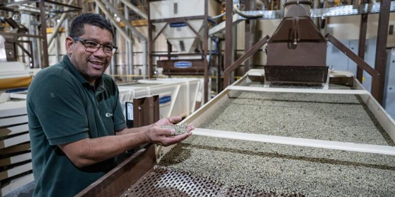 China amplia compra de café brasileiro em 2025 e ajuda a compensar perda nos EUA