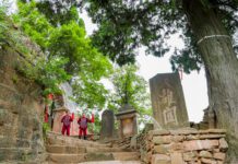 Guangyuan Zhaohua: herança cultural impulsiona turismo e faz brilhar a milenar Estrada de Shu