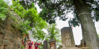 Guangyuan Zhaohua: herança cultural impulsiona turismo e faz brilhar a milenar Estrada de Shu