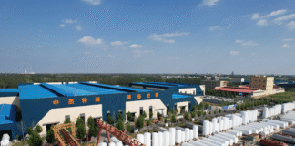 Cuidado em “chuva fina” faz florescer o desenvolvimento