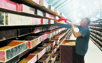 “Ecovila Tecnológica” transforma resíduos agrícolas em motor da economia circular verde