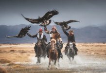 Narrativas de Subei: A Evolução da Felicidade no Condado de Subei