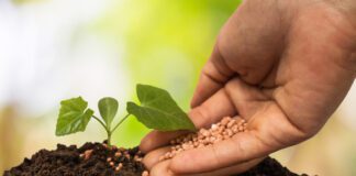 China e América Latina ampliam cooperação em inovação alimentar sustentável em Hainan