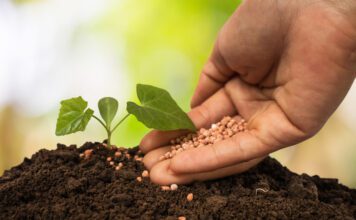 China e América Latina ampliam cooperação em inovação alimentar sustentável em Hainan