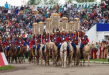 Narrativas de Subei: Naadam – Uma Celebração em Meio a Montanhas Nevadas e Pastagens
